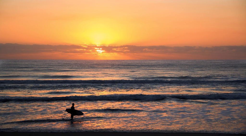 Surfer walking into the sea for a sunset surf 