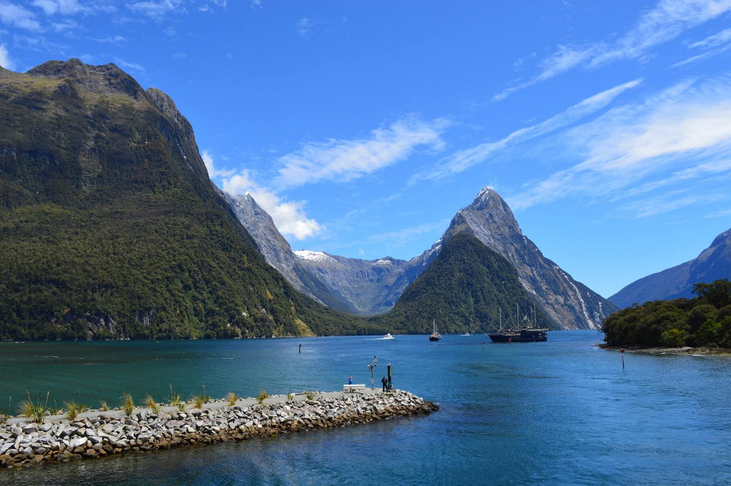 Milford Sound in New Zealand Stunning Scenery and Wildlife