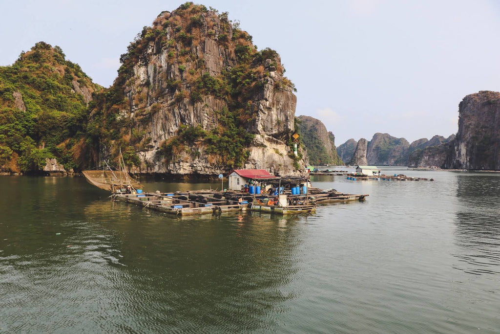 Halong Bay / Cat Ba Island in Vietnam 